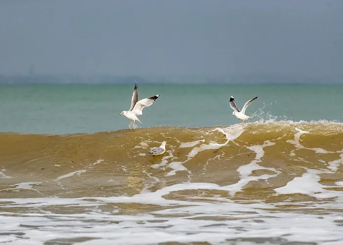 Appartementresidenz 4 Seasons Timmendorfer Strand